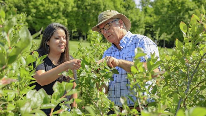 Arrowwood and Proofline Farm