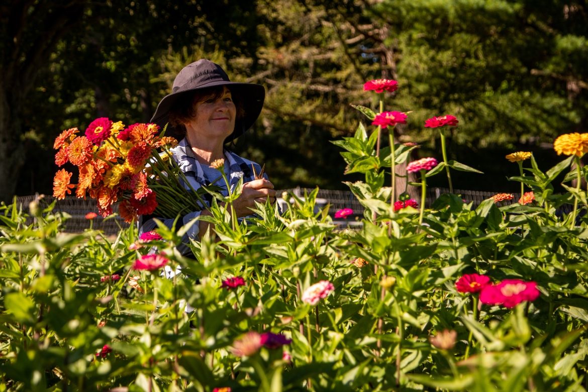 lady wearing sun hat picking flowers